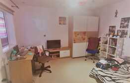 Casa cu 2 corpuri, 400 mp utili, teren 900 mp, Tabacovici