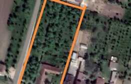 Casa 150 mp, gradina, 2970 mp teren, Mândruloc