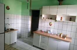 Casa 150 mp, gradina, 2970 mp teren, Mândruloc