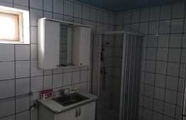 Casa 150 mp, gradina, 2970 mp teren, Mândruloc