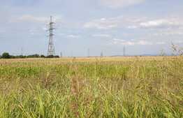 Teren extravilan 16000 mp, front stradal 45 ml, zona Cet