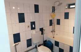 Casa individuala in zona Dinamo, teren 460 mp