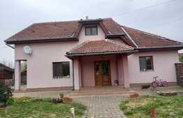 OPORTUNITATE! Casa spatioasa 190 mp si teren de 640 mp, Vladimirescu!