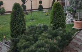 OPORTUNITATE! De vanzare vila mansardata in Gradiste, 280 mp cu teren de 424 mp si toate utilitatile!