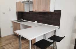 Garsoniera confort 2 proaspat renovata si utilata, zona Uta, 20 mp!