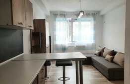 Garsoniera confort 2 proaspat renovata si utilata, zona Uta, 20 mp!