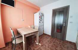 Apartament 2 camere la cheie, modern cu centrala termica, Micalaca, aproape de parcul Regina Maria!