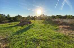 INVESTITIE! URGENT! Casa 365 mp, teren 3080 mp, front 31, Vladimirescu