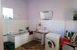 Casa în Vladimirescu, suprafață teren 2274 mp