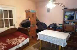 Casa în Vladimirescu, suprafață teren 2274 mp