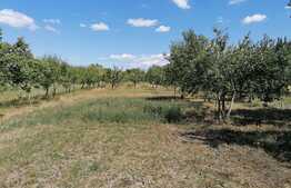 Casa în Vladimirescu, suprafață teren 2274 mp