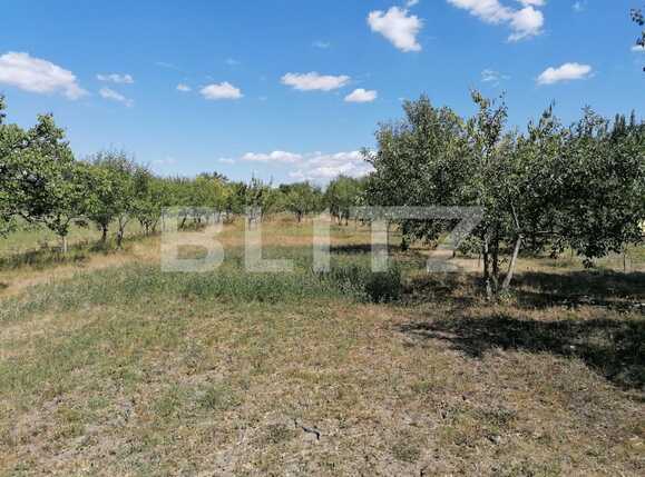 Casa de vânzare 3 camere Est - 69622CV | BLITZ Arad | Poza9