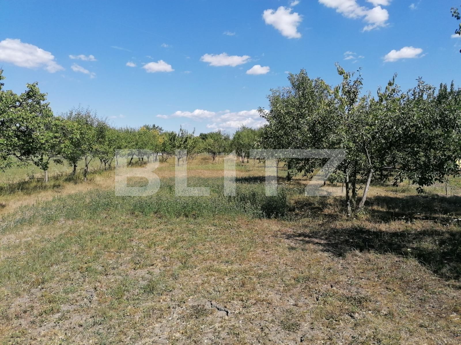 Casa de vânzare 3 camere Est - 69622CV | BLITZ Arad | Poza9