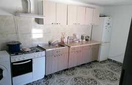 Casa de 200 mp, in zona Şega