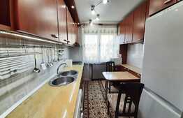 Apartament 3 camere superb, 64 mp, zona Podgoria!