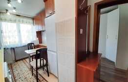 Apartament 3 camere superb, 64 mp, zona Podgoria!