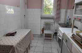 Apartament 2 camere, 53 mp, zona linistita, Banu Maracine!