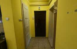 Apartament 1 camera, demisol, cartier Vlaicu