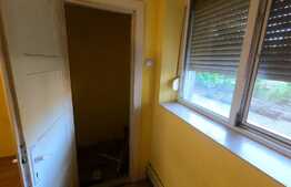 Apartament 1 camera, demisol, cartier Vlaicu