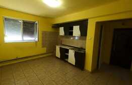 Apartament 1 camera, demisol, cartier Vlaicu
