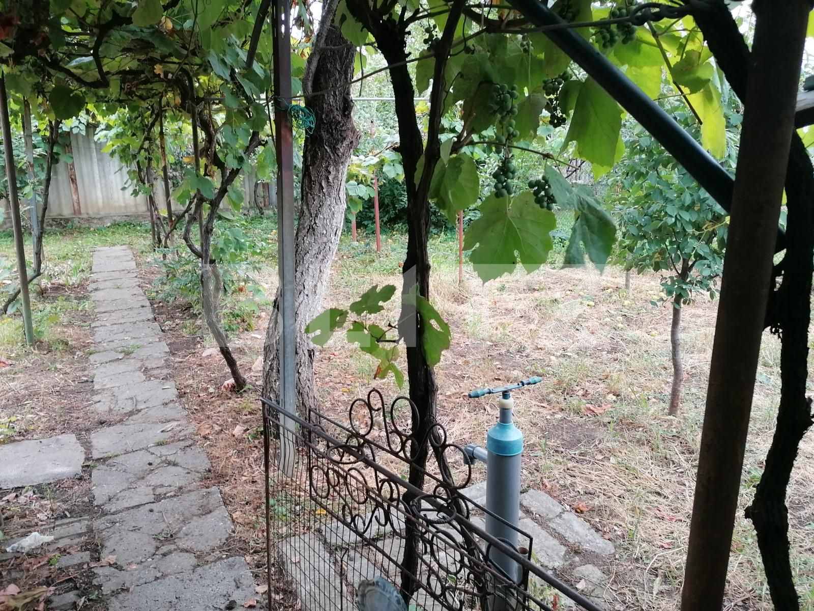 Casa de vânzare 4 camere Aurel Vlaicu - 70447CV | BLITZ Arad | Poza12