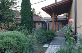 OPORTUNITATE vila S+P+E de 310 mp cu doua fronturi stradale si teren de 1570 mp!