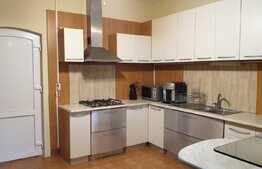 OPORTUNITATE vila S+P+E de 310 mp cu doua fronturi stradale si teren de 1570 mp!