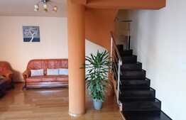 Duplex P+M, 143 mp utili, teren 290 mp, in Vladimirescu