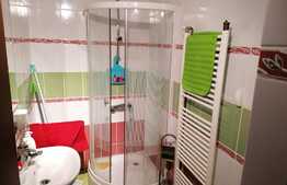 Duplex P+M, 143 mp utili, teren 290 mp, in Vladimirescu