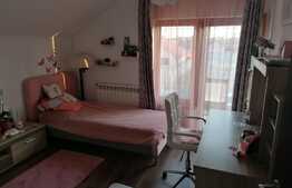 Duplex P+M, 143 mp utili, teren 290 mp, in Vladimirescu