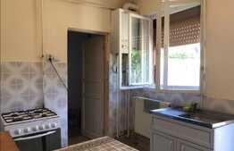 Casă 100 mp utili, teren 991 mp, în Pârneava