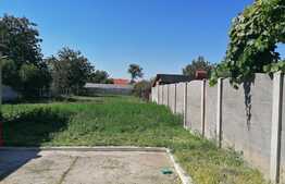 Casă 100 mp utili, teren 991 mp, în Pârneava