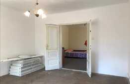 Casă 100 mp utili, teren 991 mp, în Pârneava