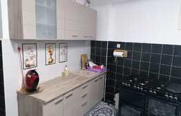 Imobil deosebit, proprietate mixta pretabila pentru orice fel de activitate, Ultracentral