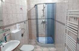 Imobil deosebit, proprietate mixta pretabila pentru orice fel de activitate, Ultracentral