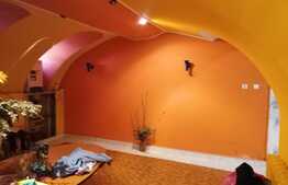 Imobil deosebit, proprietate mixta pretabila pentru orice fel de activitate, Ultracentral