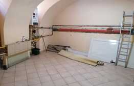 Imobil deosebit, proprietate mixta pretabila pentru orice fel de activitate, Ultracentral