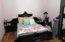 Imobil deosebit, proprietate mixta pretabila pentru orice fel de activitate, Ultracentral