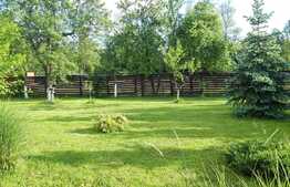 Domeniu rezidential, 400 mp, 4300 mp teren, Est