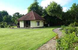 Domeniu rezidential, 400 mp, 4300 mp teren, Est