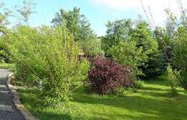 Domeniu rezidential, 400 mp, 4300 mp teren, Est