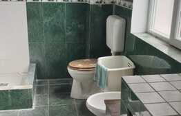 Casa 150 mp utili, 6 camere, 307 mp, Ultracentral!