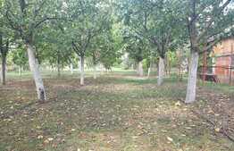 OPORTUNITATE! Casa de 160 mp, teren cu livada 1671 mp si front stradal 20, Sanleani!