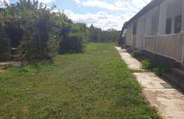 OPORTUNITATE! Casa de 160 mp, teren cu livada 1671 mp si front stradal 20, Sanleani!