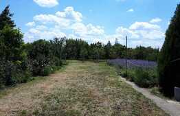 OPORTUNITATE! Casa de 160 mp, teren cu livada 1671 mp si front stradal 20, Sanleani!