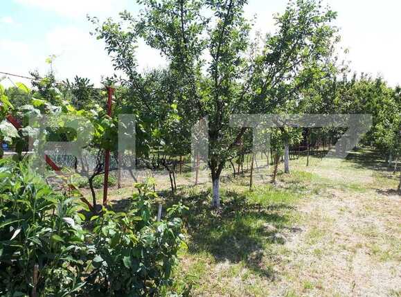 Casa de vânzare 2 camere Nord-Est - 71889CV | BLITZ Arad | Poza15