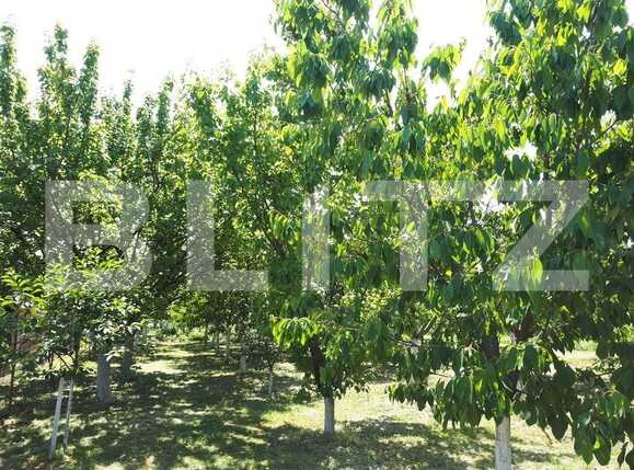 Casa de vânzare 2 camere Nord-Est - 71889CV | BLITZ Arad | Poza16