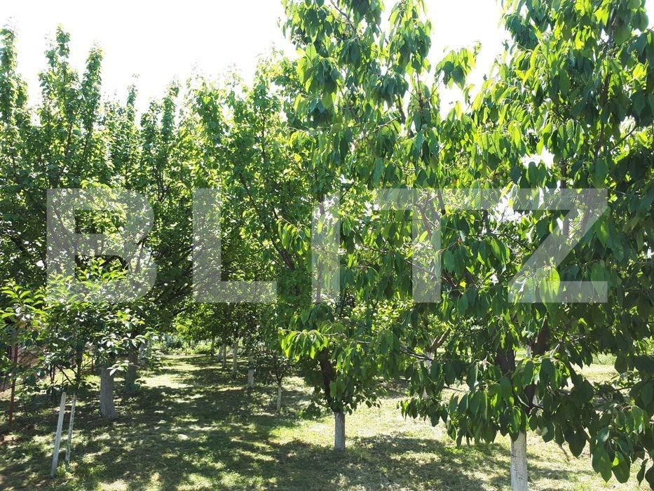 Casa de vânzare 2 camere Nord-Est - 71889CV | BLITZ Arad | Poza16