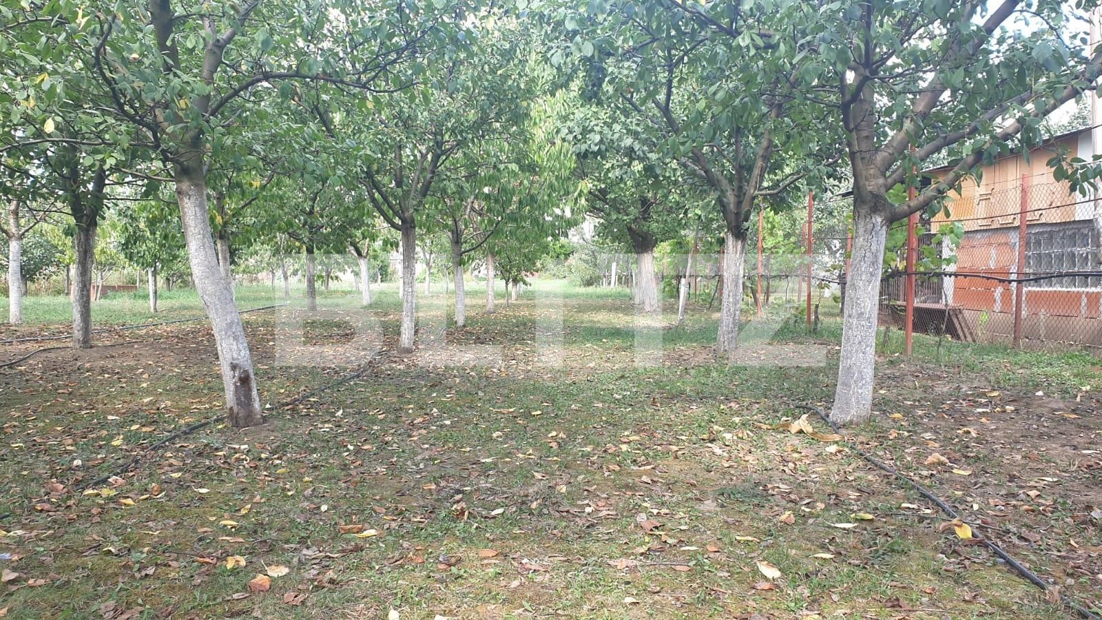 Casa de vânzare 2 camere Nord-Est - 71889CV | BLITZ Arad | Poza14