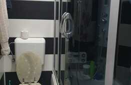 Apartament la casa, 95 mp, 105 mp teren, Piata Catedralei